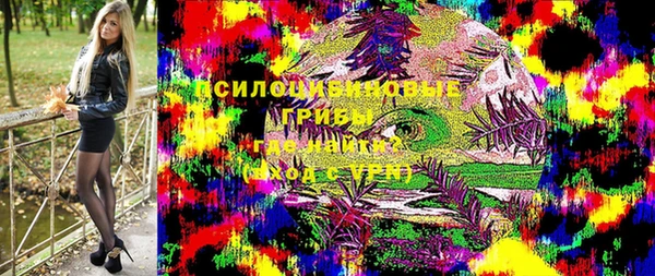 крисы Каменск-Шахтинский