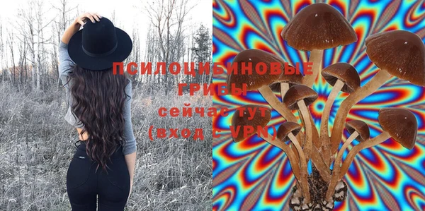 крисы Каменск-Шахтинский