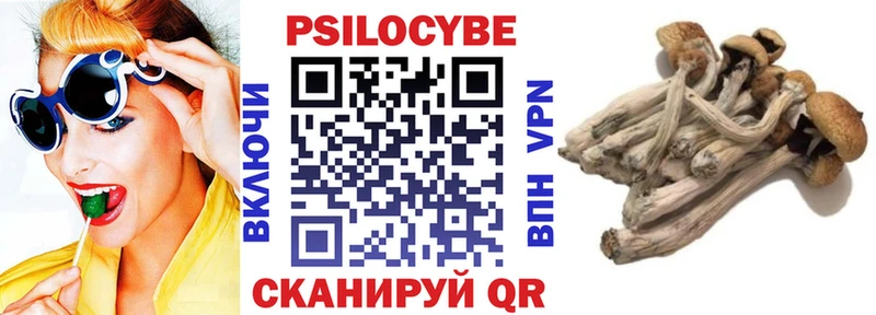 Галлюциногенные грибы прущие грибы  Купить где  Избербаш 